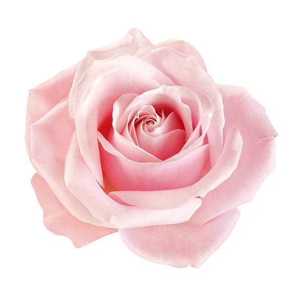 Photo de Jeannine VISENSANG